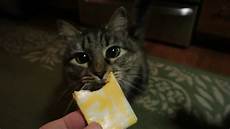 Annie's Mac N Cheese