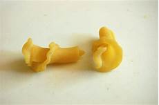 Macaroni Shapes